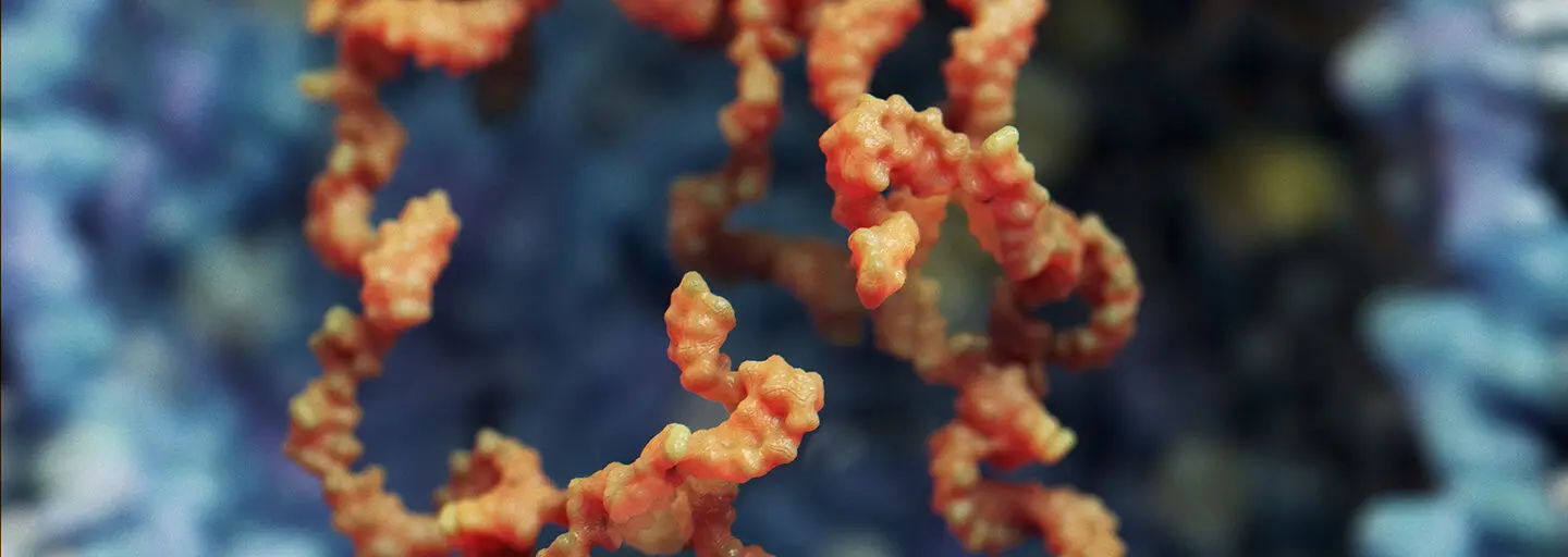 Website Grupo de Investigação Biologia RNA - Projeto profissional desenvolvido por Rodrigo Media
